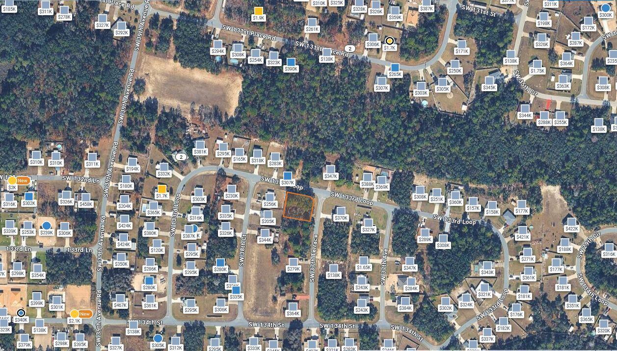 00 SW 133 Loop, Ocala FL 34473 photo 2