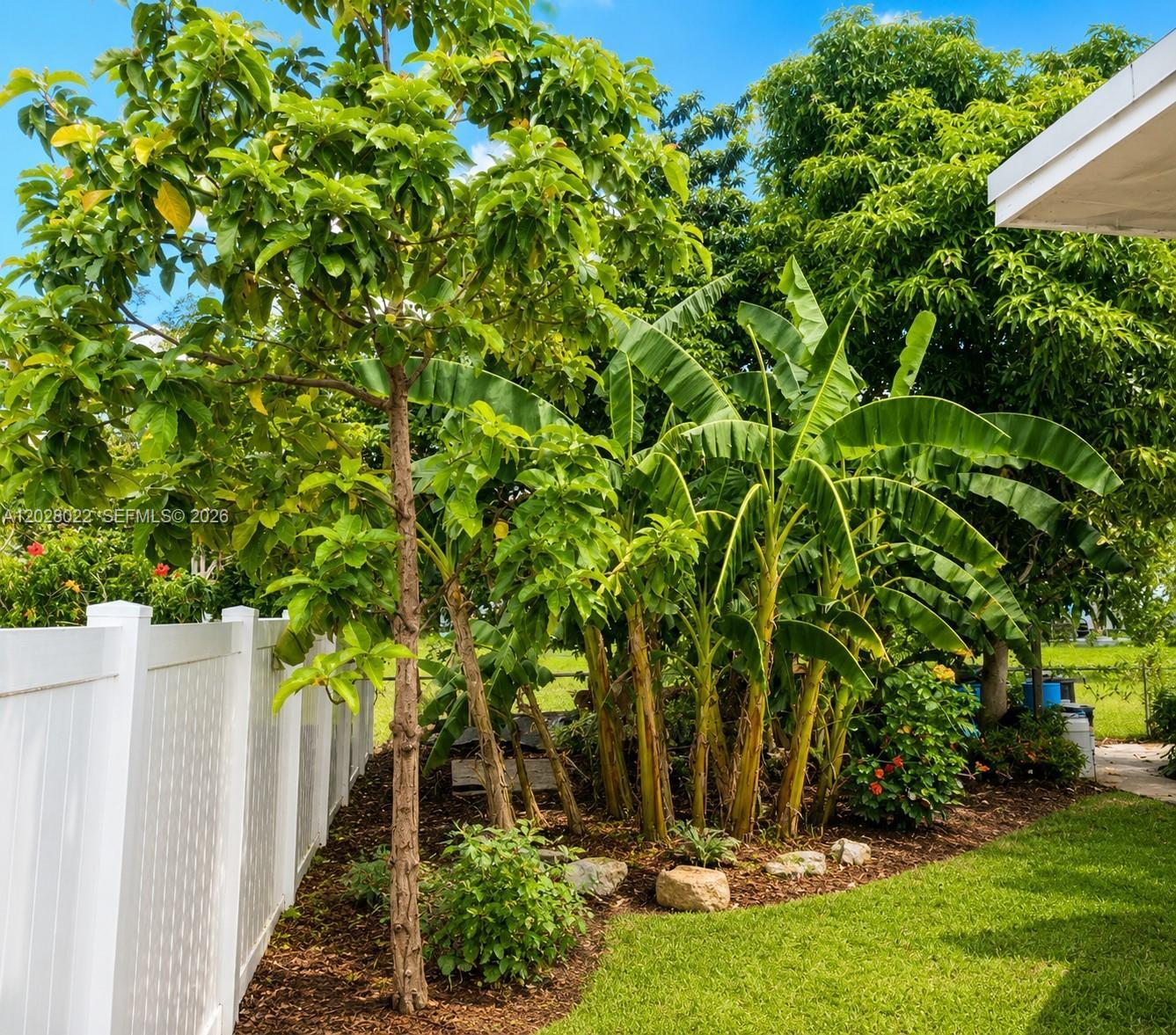 11410 NE 13th Ave, Miami FL 33161 photo 5