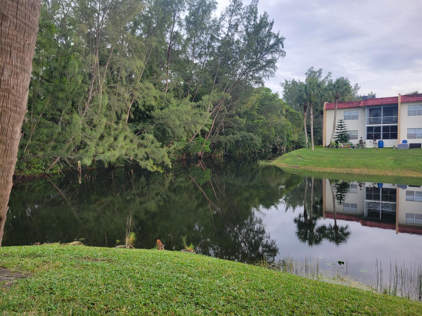 356 Lake Dora Drive, West Palm Beach FL 33411