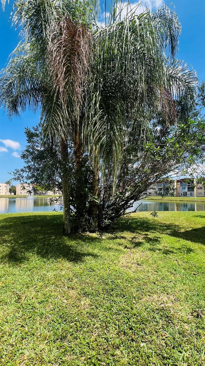 8920 Sunrise Lakes Boulevard # 208, Sunrise FL 33322 photo 5