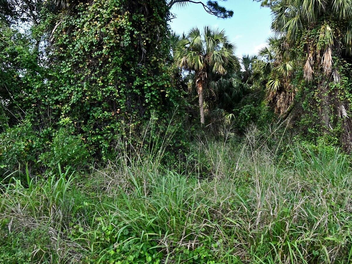 0 San Diego Avenue, Fort Pierce FL 34946 photo 2