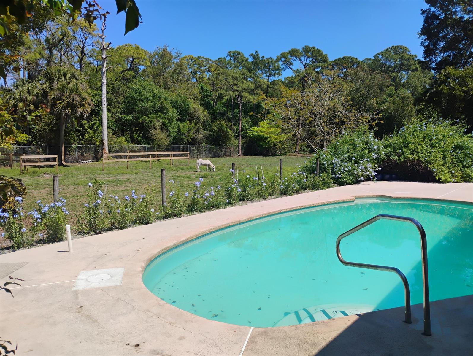 15531 42nd Road N, FL 33470 photo 4