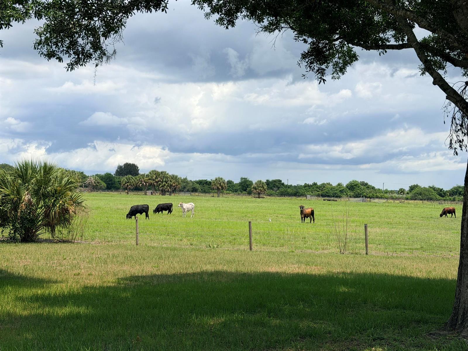 1206 SE 10th Street, Okeechobee FL 34974 photo 3