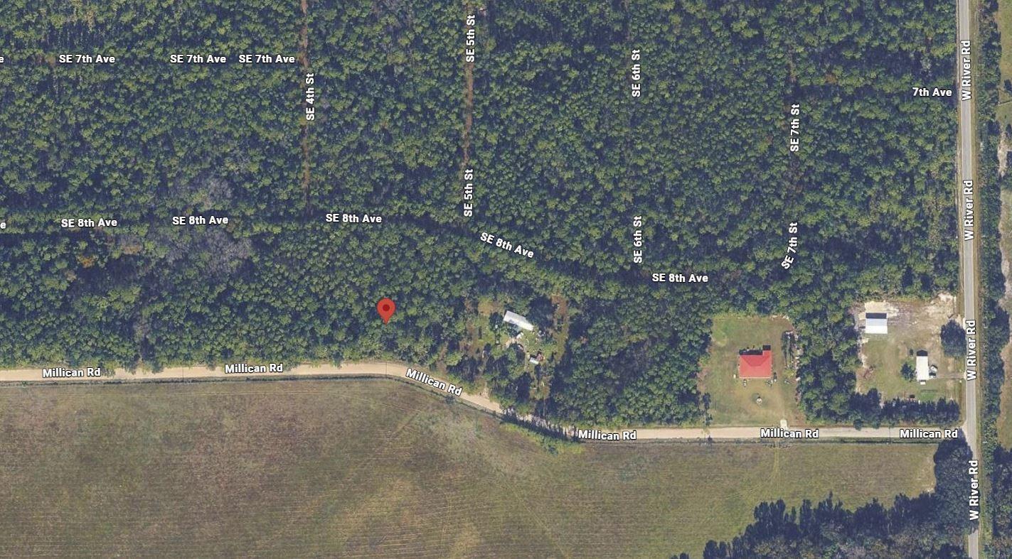 132 Millican Road, Palatka FL 32177 photo 3