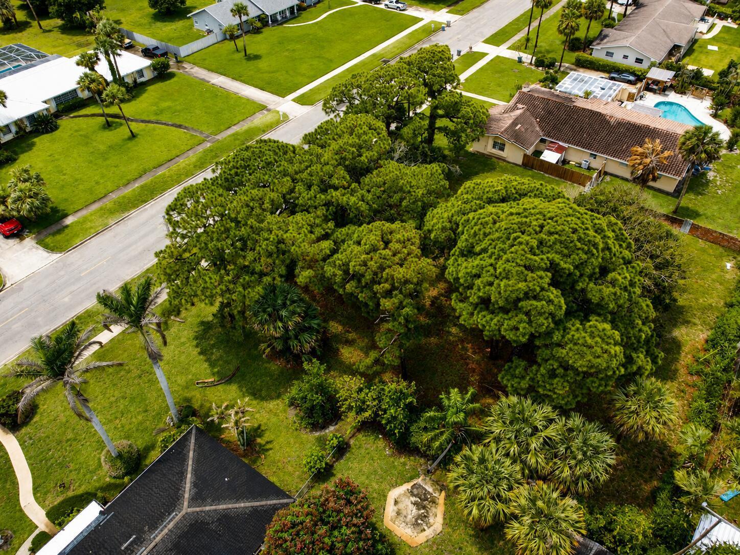 1006 Grandview Boulevard, Fort Pierce FL 34982 photo 5
