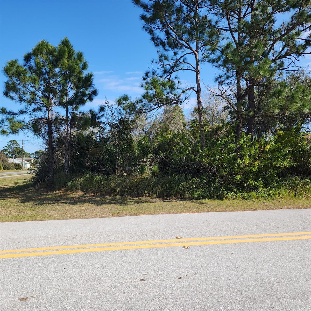 Xxx Tilden Road SE, Palm Bay FL 32909 photo 3