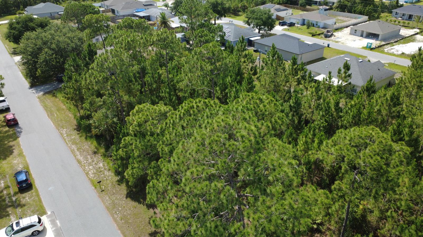 455 Dadeville Street SE, Palm Bay FL 32909 photo 2