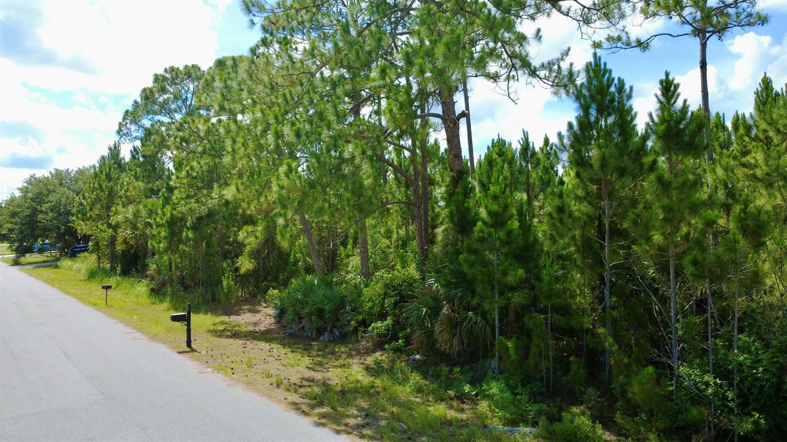 455 Dadeville Street SE, Palm Bay FL 32909