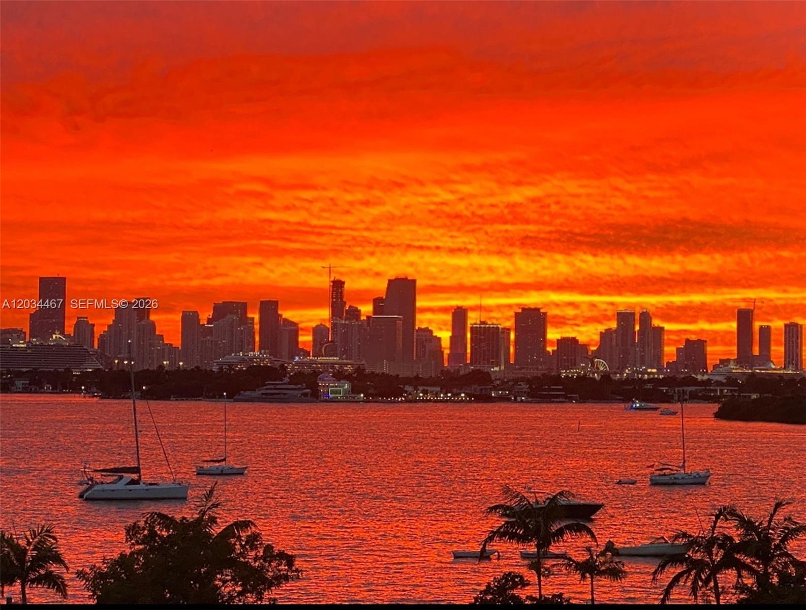 Miami Beach, FL 33139 photo 3