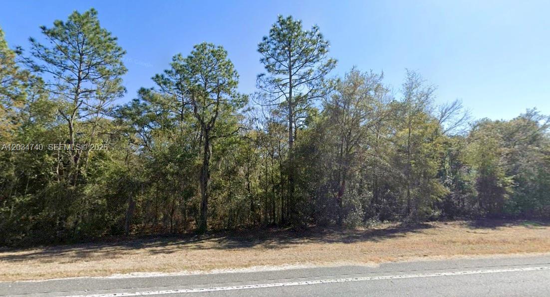 Lot 2 STR 121, Williston FL 32696 photo 2
