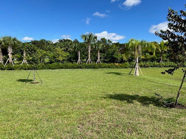 9741 Spruce Woods Drive, Boynton Beach FL 33473 photo 5