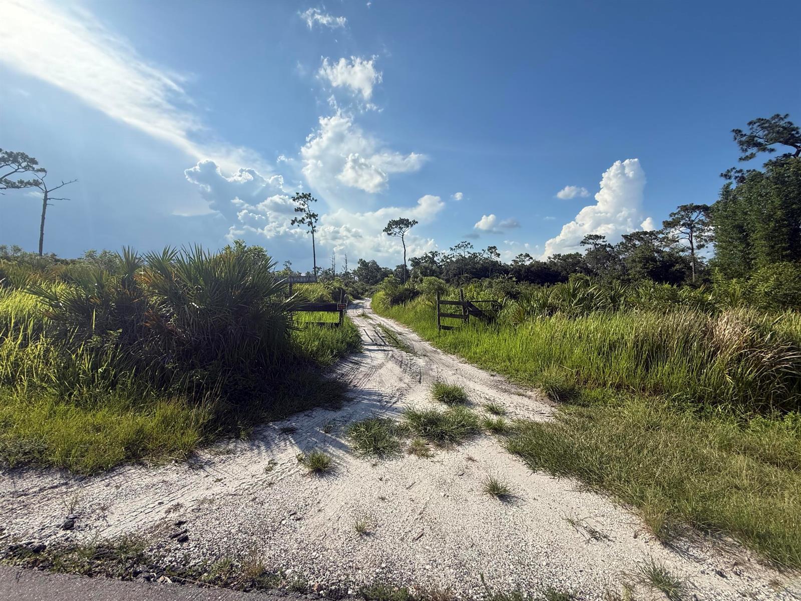 3349 NE 301st Boulevard, Okeechobee FL 34972 photo 3