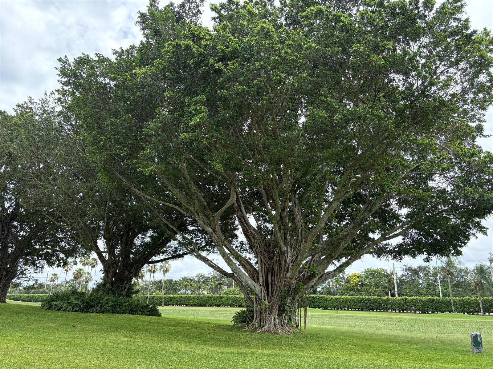9820 S Hollybrook Lake Drive # 110, Pembroke Pines FL 33025