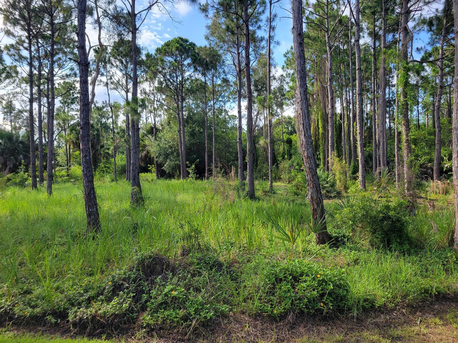 00 Shanas Trail, Port St. Lucie FL 34952 photo 2
