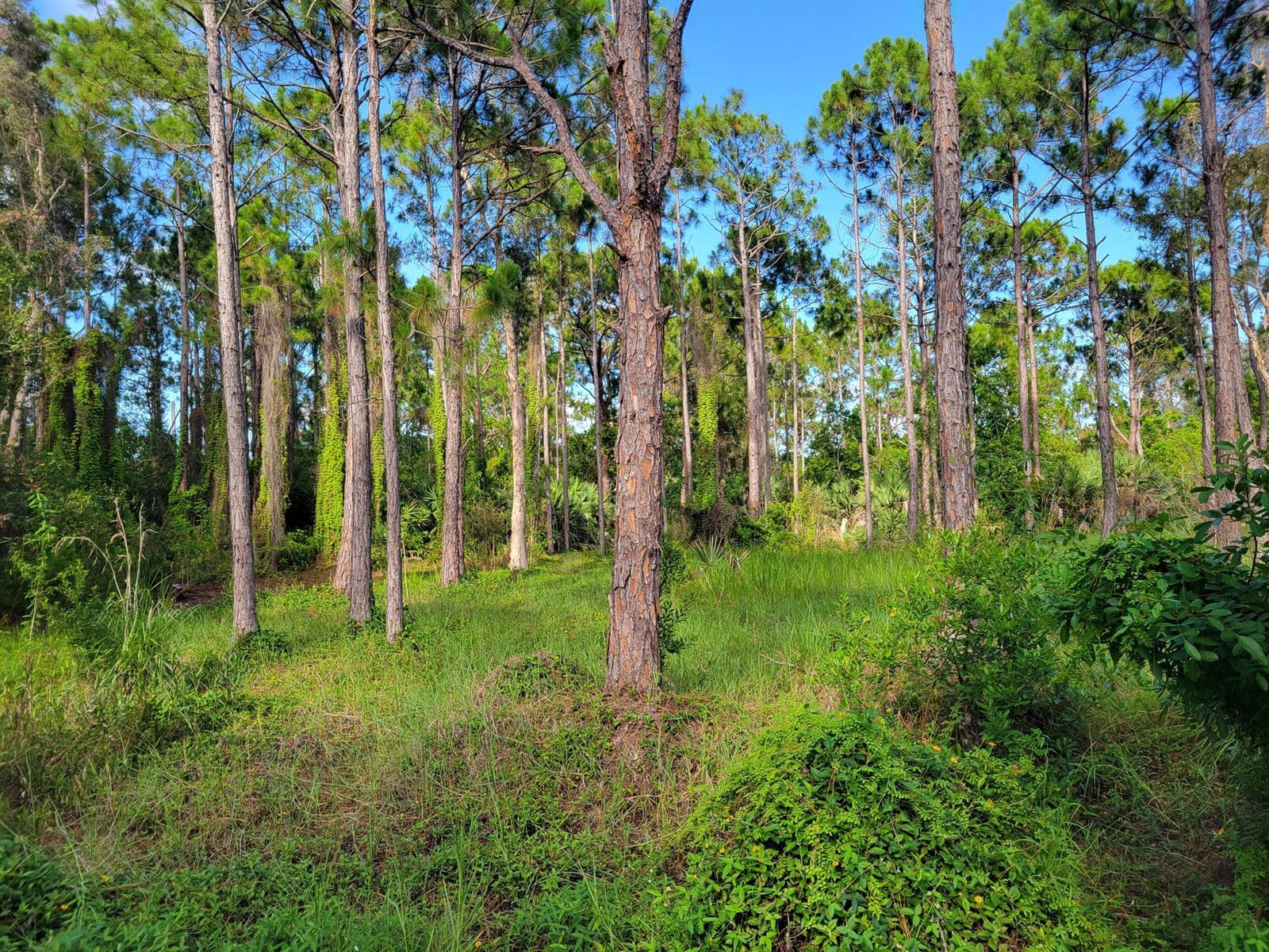 00 Shanas Trail, Port St. Lucie FL 34952 photo 4