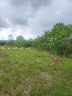 437 Naples AVE S, Lehigh Acres FL 33974