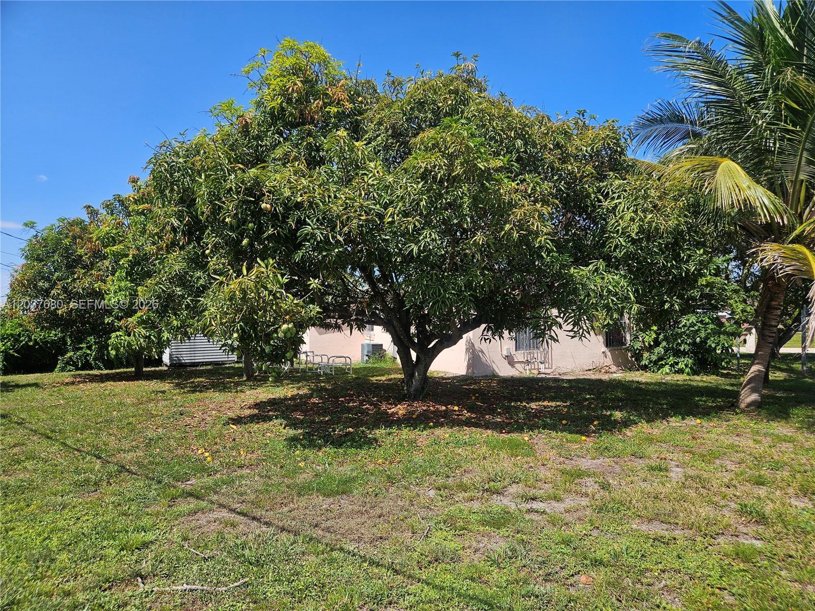 Delray Beach, FL 33444 photo 3