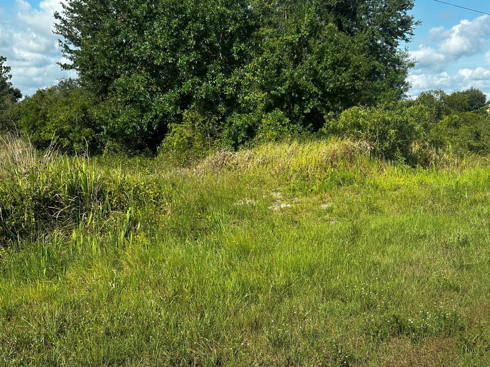 15138 NW 262nd Street, Okeechobee FL 34972