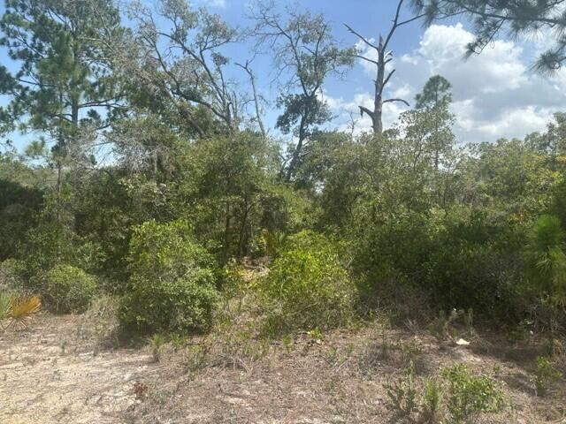 387 Marionette Avenue, Lake Placid FL 33852 photo 2