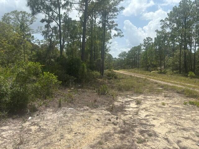 387 Marionette Avenue, Lake Placid FL 33852 photo 3