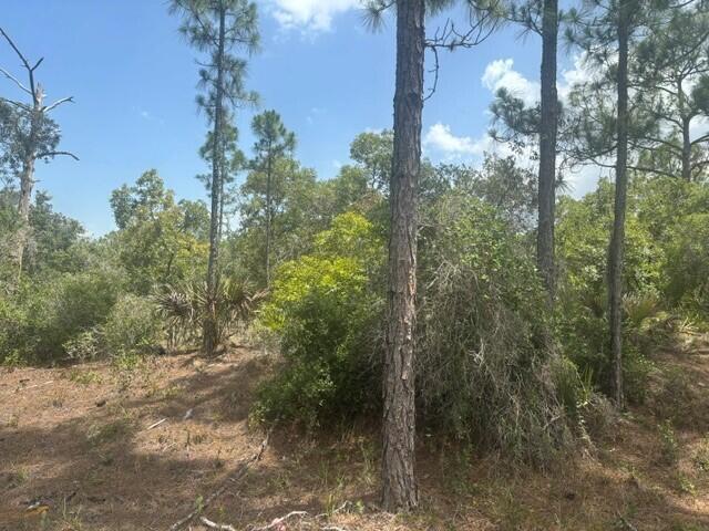 387 Marionette Avenue, Lake Placid FL 33852