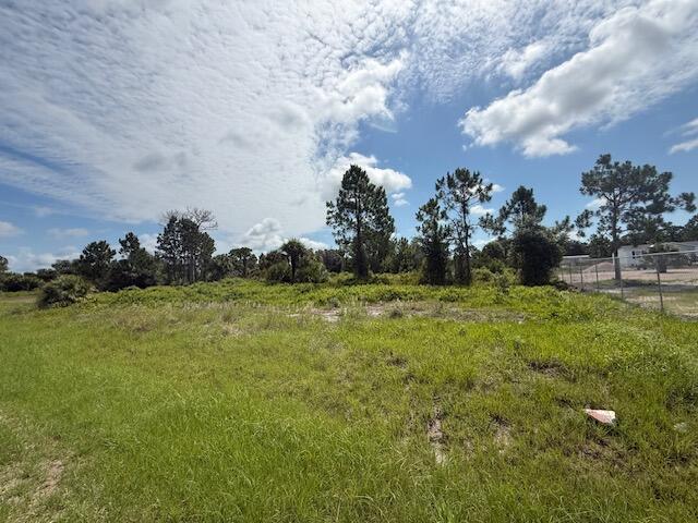 355 N Olivo Street, FL 33440 photo 3