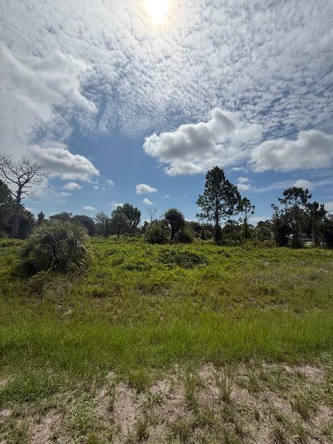 355 N Olivo Street, FL 33440 photo 5