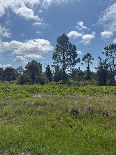 355 N Olivo Street, FL 33440 photo 4
