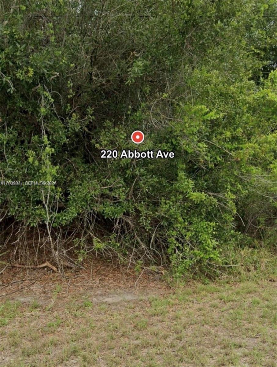 220 NE ABBOTT AVE, Fort Myers FL 33936 photo 4