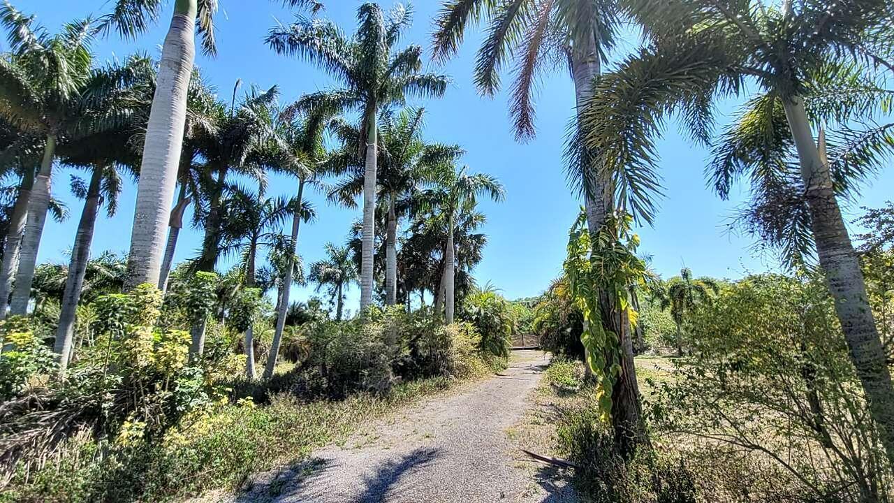 4095 Windmill Road, Loxahatchee FL 33470 photo 2