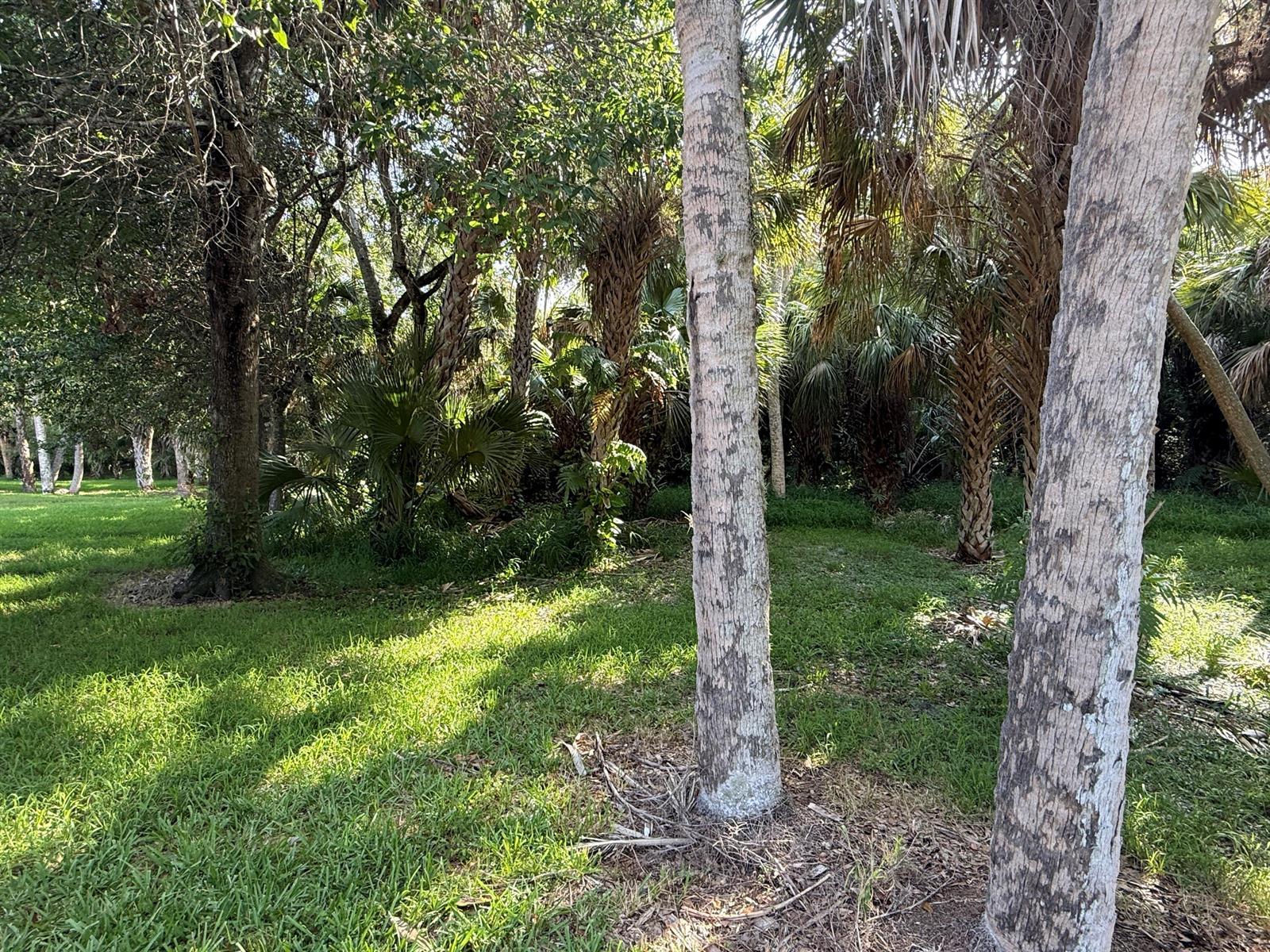 198 Hampton Circle, Jupiter FL 33458 photo 5