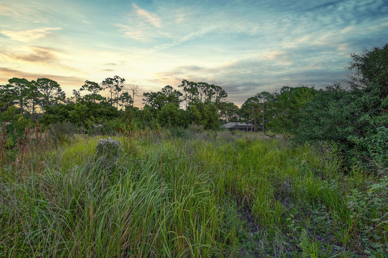 0 155th Place N, FL 33478 photo 4