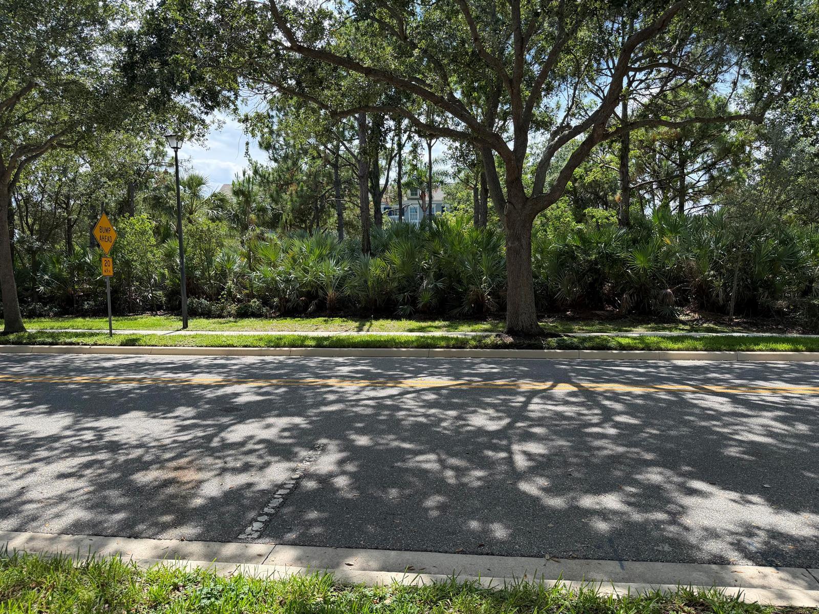 241 E Thatch Palm Circle, Jupiter FL 33458 photo 4