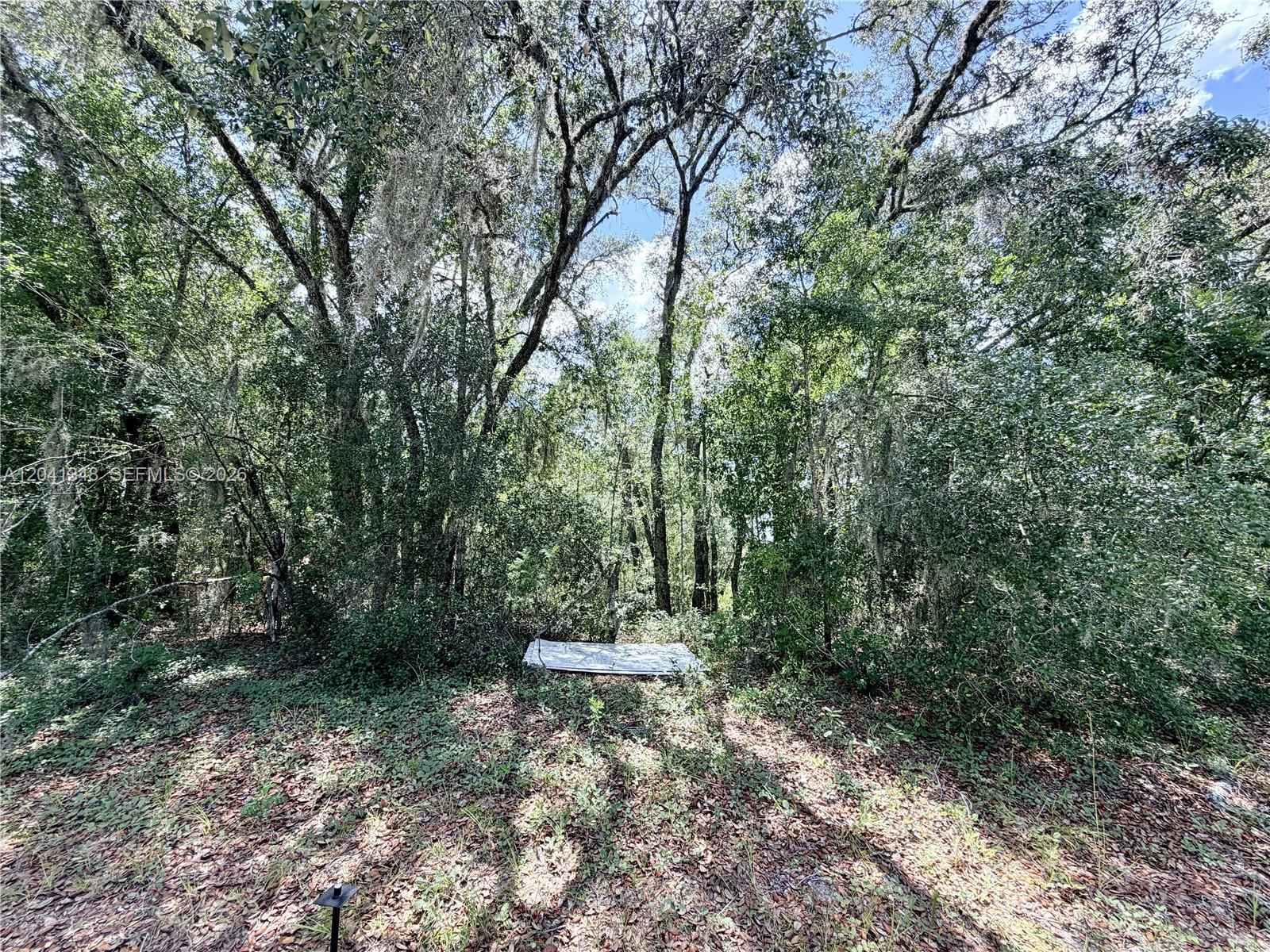 7932 N Elkcam Boulevard, Citrus Springs FL 34433 photo 2