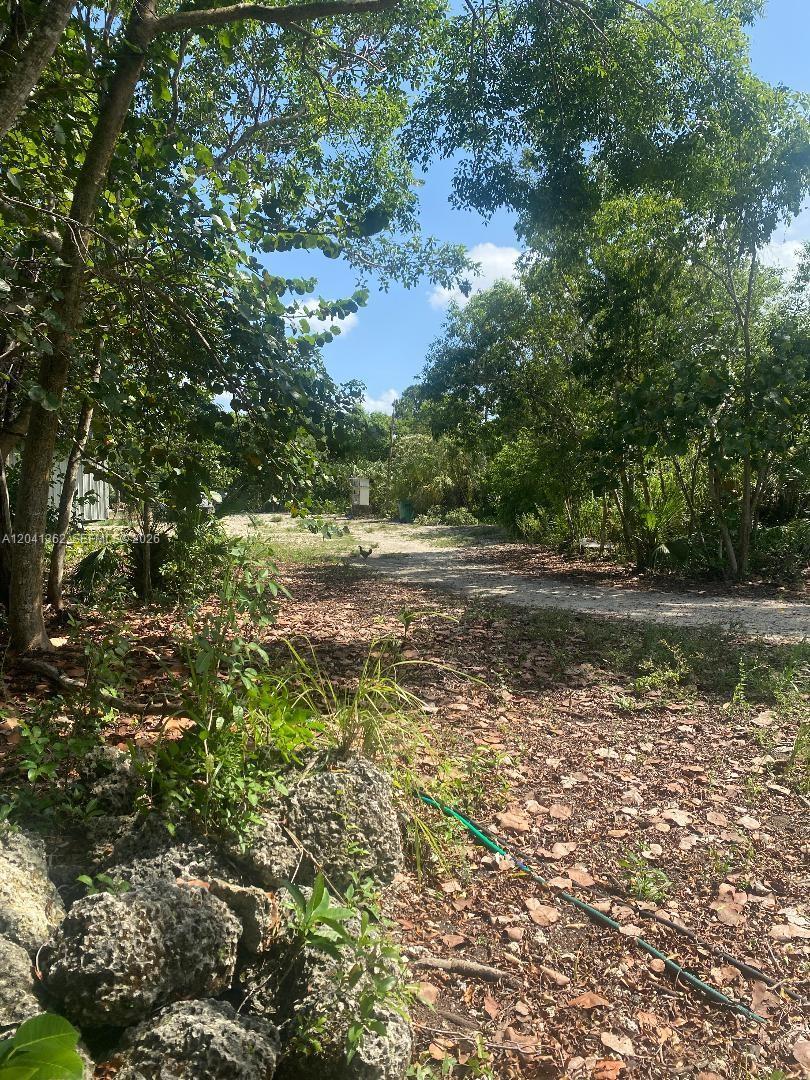 23625 SW 125 AV, Homestead FL 33032 photo 2
