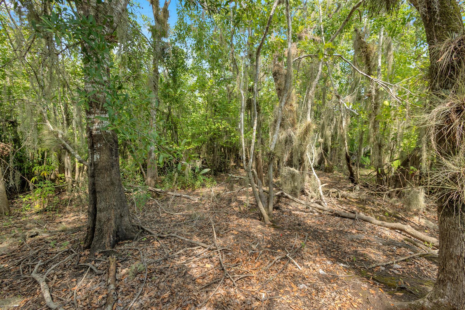 0000 Cummer Road, Deland FL 32720 photo 2