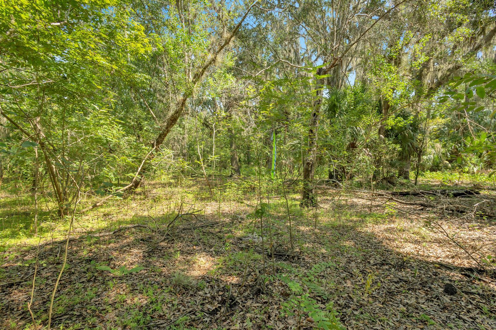 0000 Cummer Road, Deland FL 32720 photo 5