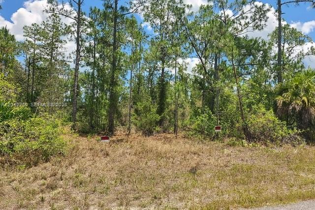 1306 Jefferson Ave, Lehigh Acres FL 33972 photo 3