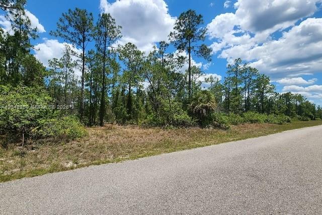1306 Jefferson Ave, Lehigh Acres FL 33972 photo 5