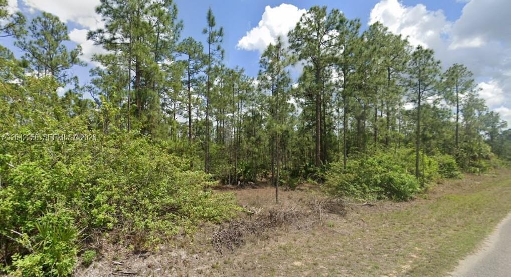 1306 Jefferson Ave, Lehigh Acres FL 33972 photo 4