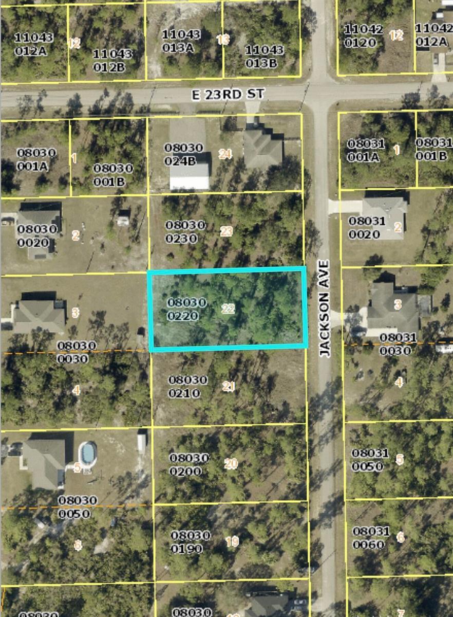 2219 Jackson Avenue, FL 33920 photo 2