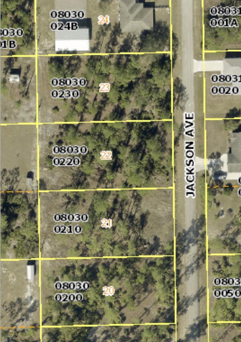 2219 Jackson Avenue, FL 33920 photo 3