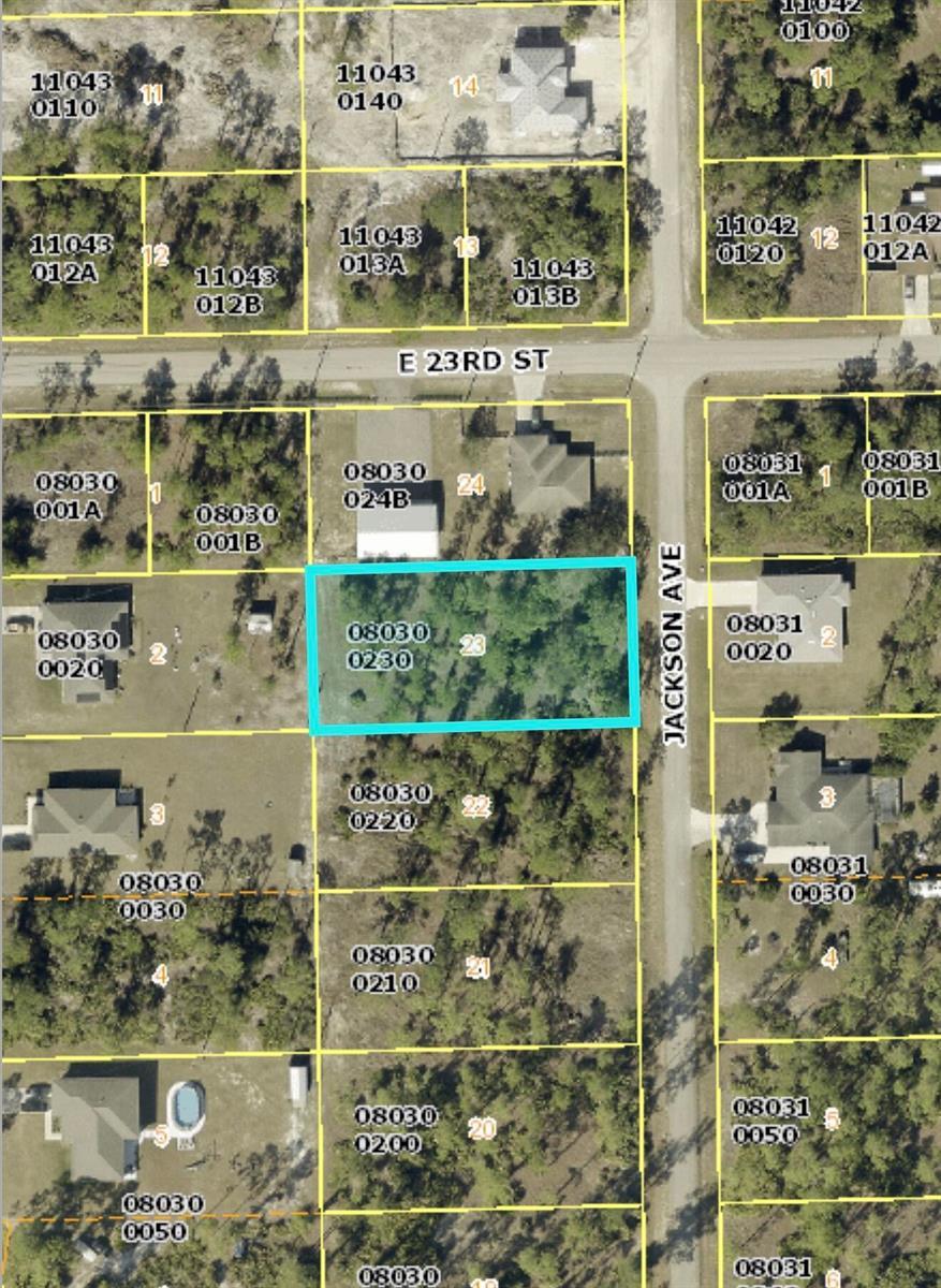 2221 Jackson Avenue, FL 33920 photo 2