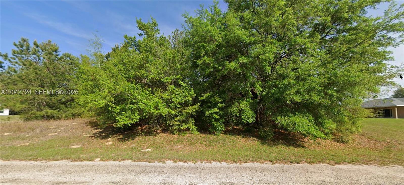 689 E Hope Pl, Other City - In The State Of Florida FL 34434