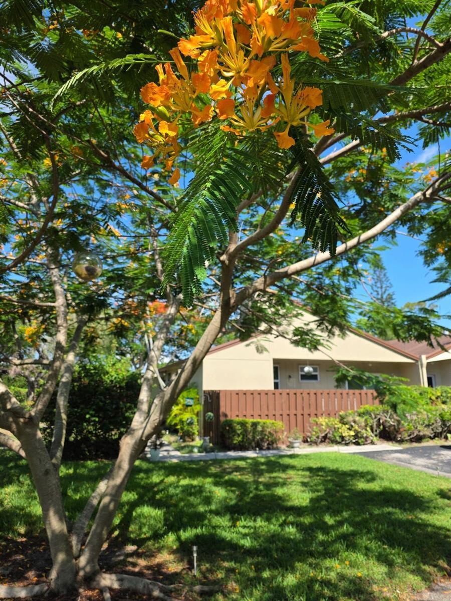 11600 Timbers Way # 37a, Boca Raton FL 33428 photo 3