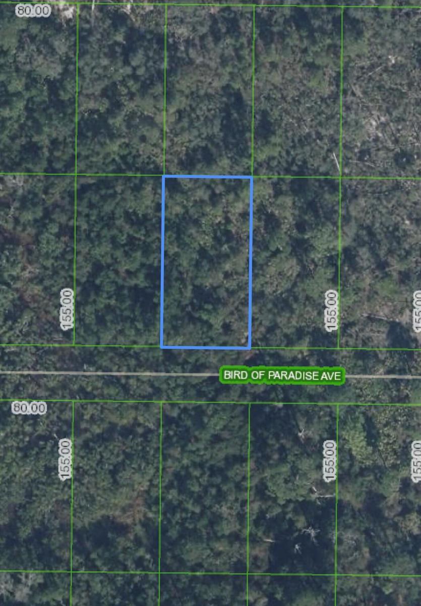 2330 Bird Of Paradise Avenue, Sebring FL 33875
