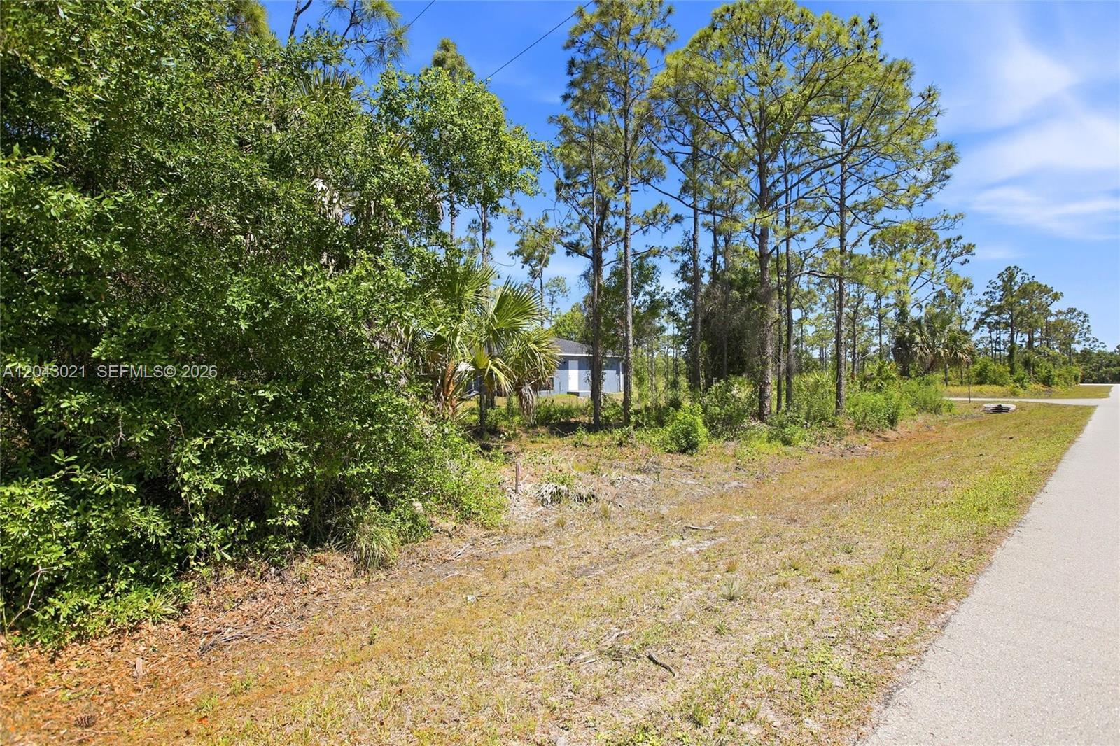 27396 Corinthian, Punta Gorda FL 33955 photo 2