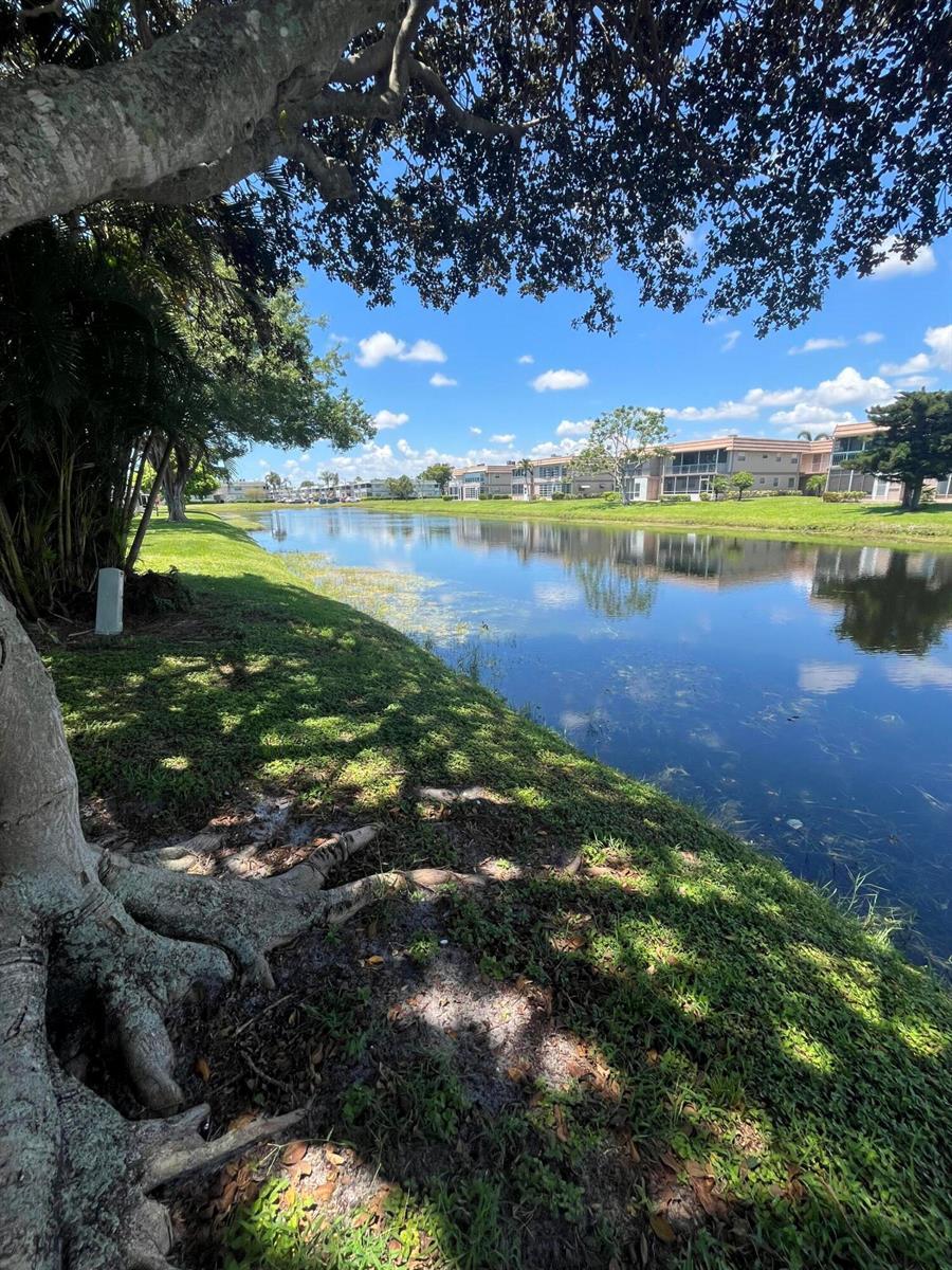 210 Valencia I, Delray Beach FL 33446 photo 3