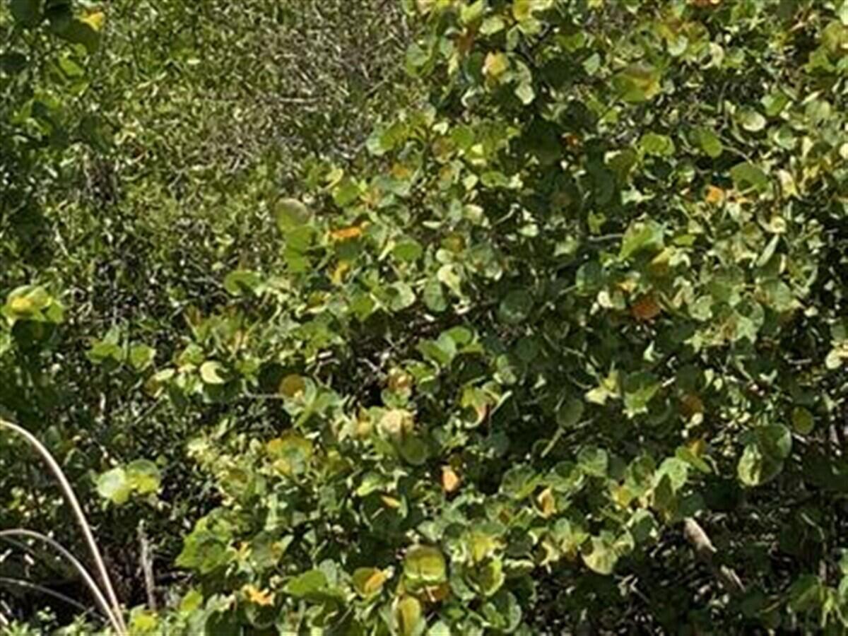0 S Ocean Drive, Fort Pierce FL 34949 photo 2