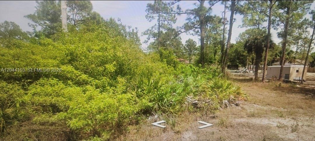 908 E EUCLID AVE, Lehigh Acres FL 33972